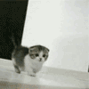 yRyxa.gif