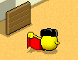 corrida.gif