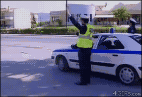 CSVfv.gif