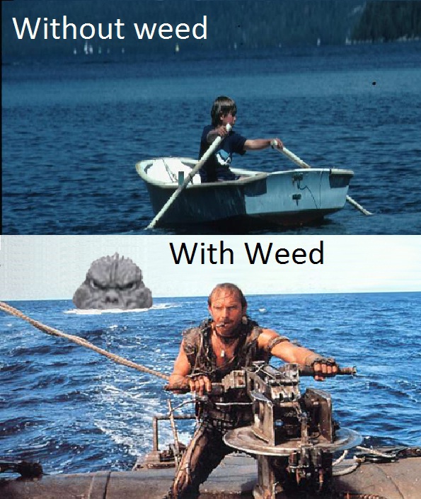 CJcwC9P.jpg
