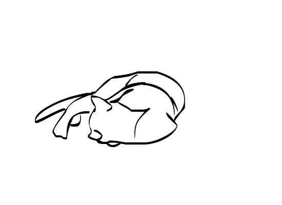 tumblr_mq4qybgQYr1rdncddo1_1280.gif