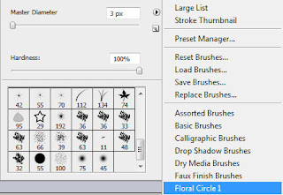 08+-+select+brush.jpg