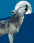 1x0thdai.gif