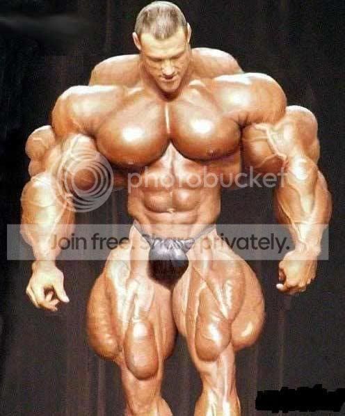 BodyBuilder.jpg