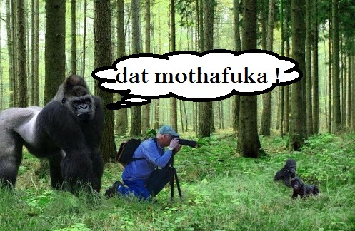 qTRpuVr.jpg