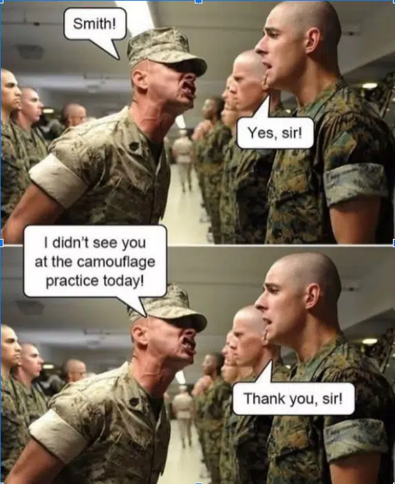 image5.png