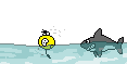 MUkIL.gif