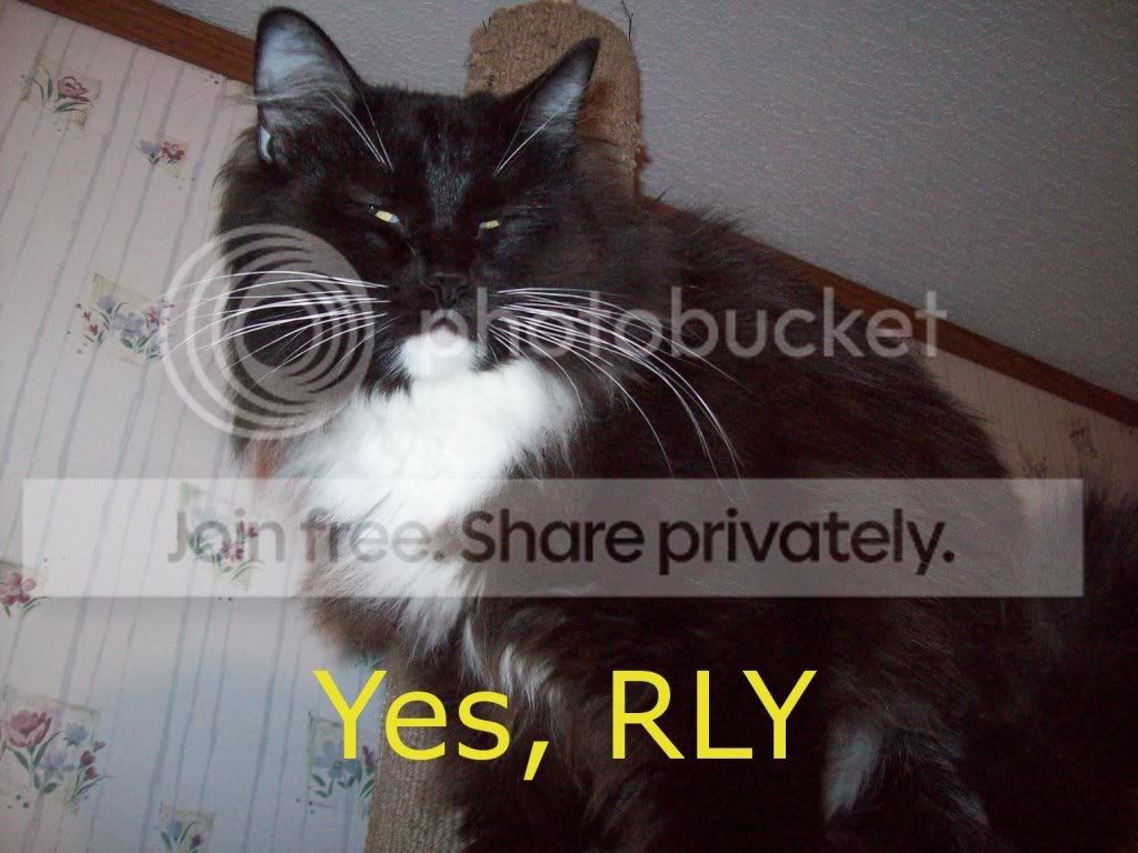 YesRLY.jpg