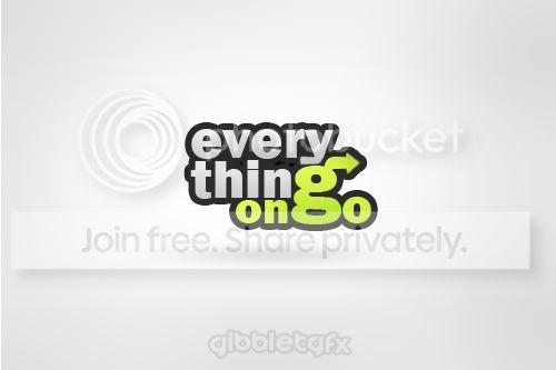 everythingongo1.jpg