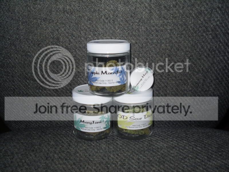 SDC10625.jpg